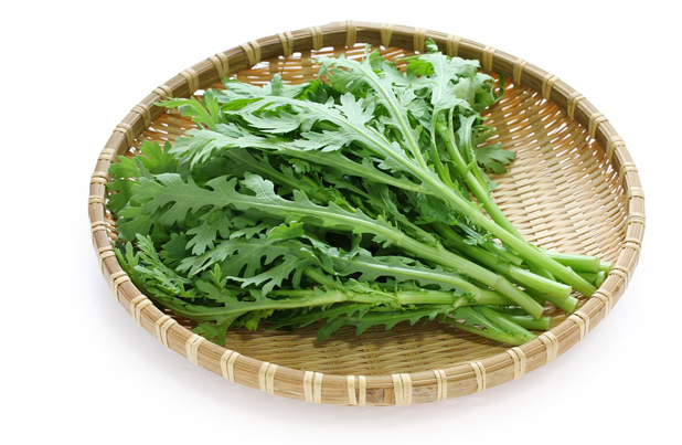 我家茼蒿开花了长得像黄金菊，它们的本质区别都有哪些？