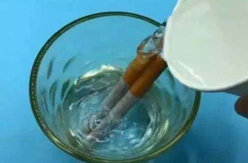 家养盆栽中出现一些小虫子，这种情况该怎么办才好？