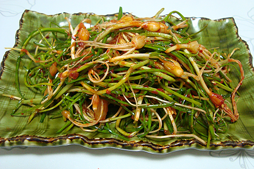 春季可食用野菜有哪些？