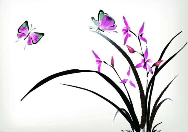 兰花怎么分类？名字里有“兰”字的花都是兰花吗？
