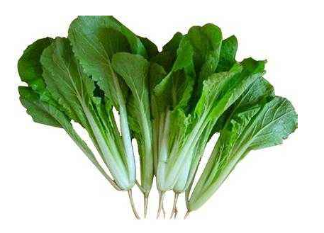小白菜这样做好吃又营养！小白菜食用功效与作用介绍