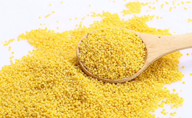 小米营养成分介绍：小米有哪些功效？食用小米要注意什么？