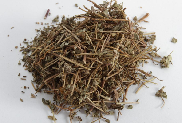 千根草与地锦草有什么区别？了解这些帮助你轻松区分它们！