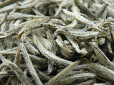 白毫银针用什么茶具泡？白毫银针一定要用紫砂壶泡！