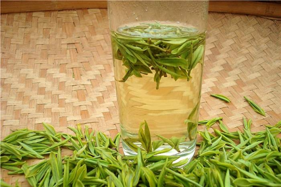 喝安吉白茶有什么作用和功效?喜爱品茶的你需要了解!