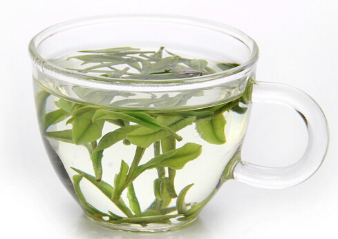 喝安吉白茶有什么作用和功效?喜爱品茶的你需要了解!