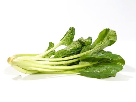 春天种什么菜好？适合春天种的蔬菜介绍！