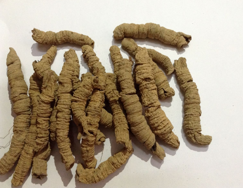 还不知道巴戟天到底有啥功效和作用吗?原来不是所有人都可以服用呢!