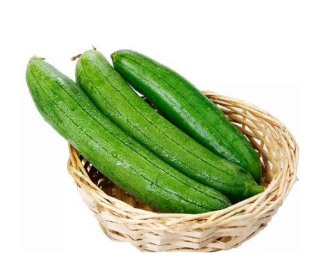 春天种什么菜好？适合春天种的蔬菜介绍！