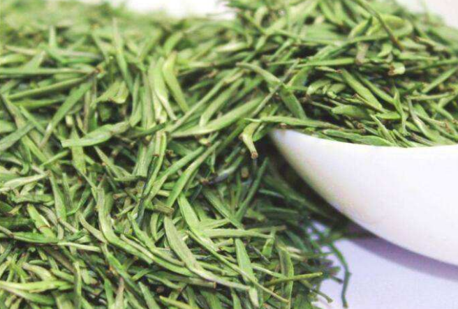 竹叶青茶和雀舌的区别是什么？外形细微不同，细心留意就能发现!