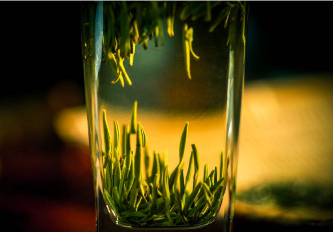 竹叶青茶和雀舌的区别是什么？外形细微不同，细心留意就能发现!