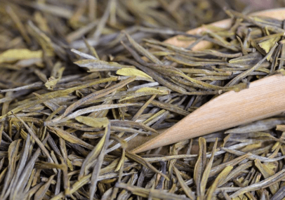白茶属于什么茶？它有怎样的功效？带你了解全面白茶！