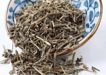 透骨草有多少种？透骨草的常用种类介绍！