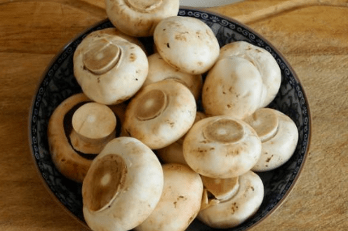 口蘑伞底下变黑有毒吗?了解这些才能放心食用!