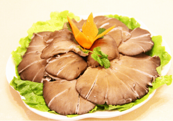 平菇有什么功效和作用?平菇的功效作用可不容小觑!