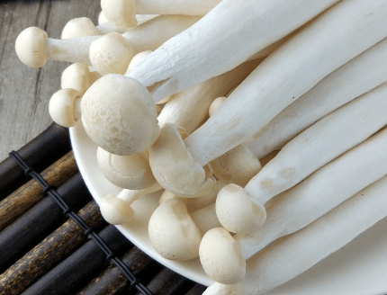 白玉菇和海鲜菇的区别是什么？白玉菇营养价值更高！