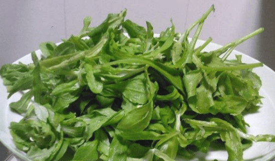 清明菜有毒么?清明菜无毒且营养价值极高!