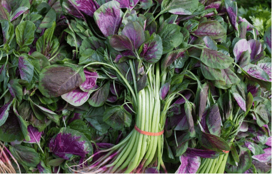 苋菜和野苋菜有什么区别？哪个更好吃？