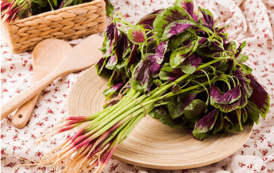 苋菜和野苋菜有什么区别？哪个更好吃？