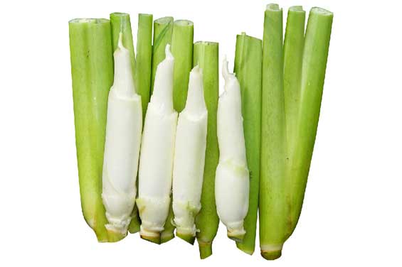茭白能和香菇一起吃吗?哪些食物不能与茭白一起吃
