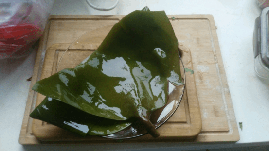 每天吃海带能减肥的传言是真的吗？进来看看！这里有最详细的讲解！