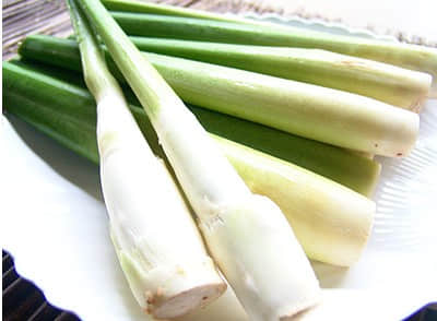 凉拌茭白丝怎么做好吃?夏日解暑好滋味！