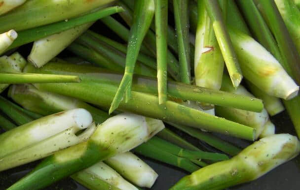 茭白能和香菇一起吃吗?哪些食物不能与茭白一起吃