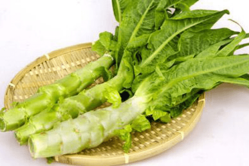 怎么使得莴苣种子快速发芽?正确高效的莴苣种子催芽方法介绍! 怎么使得莴苣种子快速发芽?正确高效的莴苣种子催芽方法介绍!
