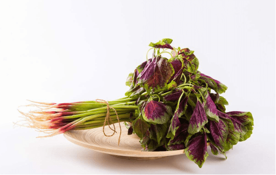 苋菜和野苋菜有什么区别？哪个更好吃？