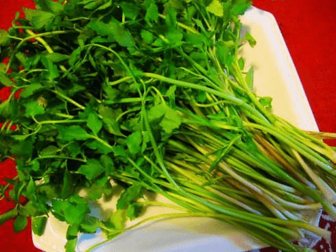 野生水芹菜有毒吗？带你了解野生水芹菜的功效！
