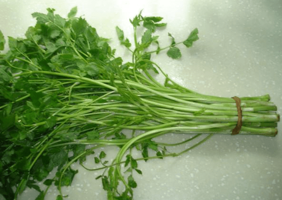 野生水芹菜有毒吗？带你了解野生水芹菜的功效！