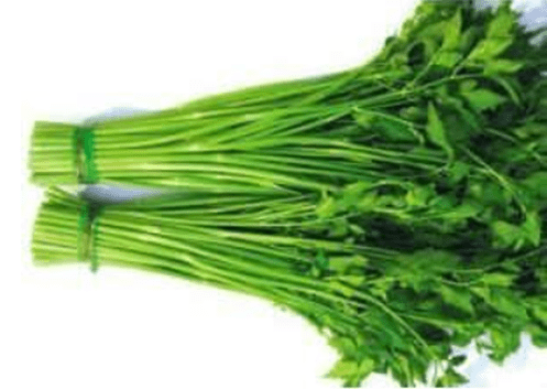 野生水芹菜有毒吗？带你了解野生水芹菜的功效！