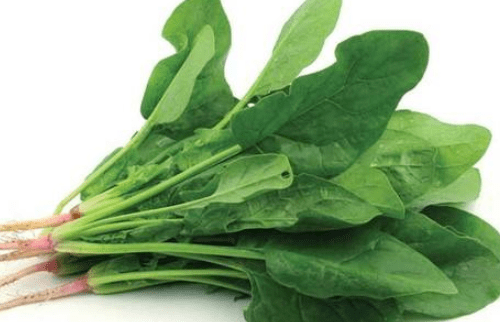 生吃空心菜有什么坏处？你还在生吃空心菜吗？