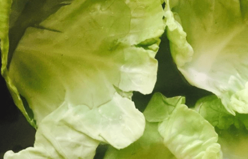 圆白菜怎么切？圆白菜切法大全！