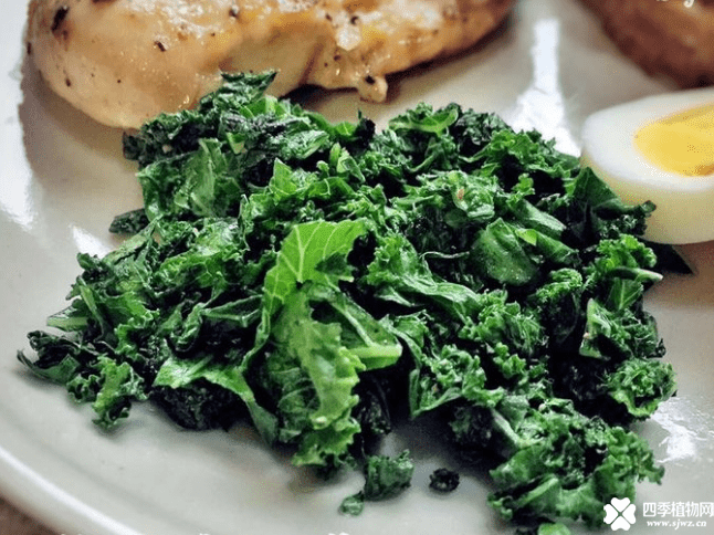 羽衣甘蓝怎么吃？羽衣甘蓝食用方法介绍！