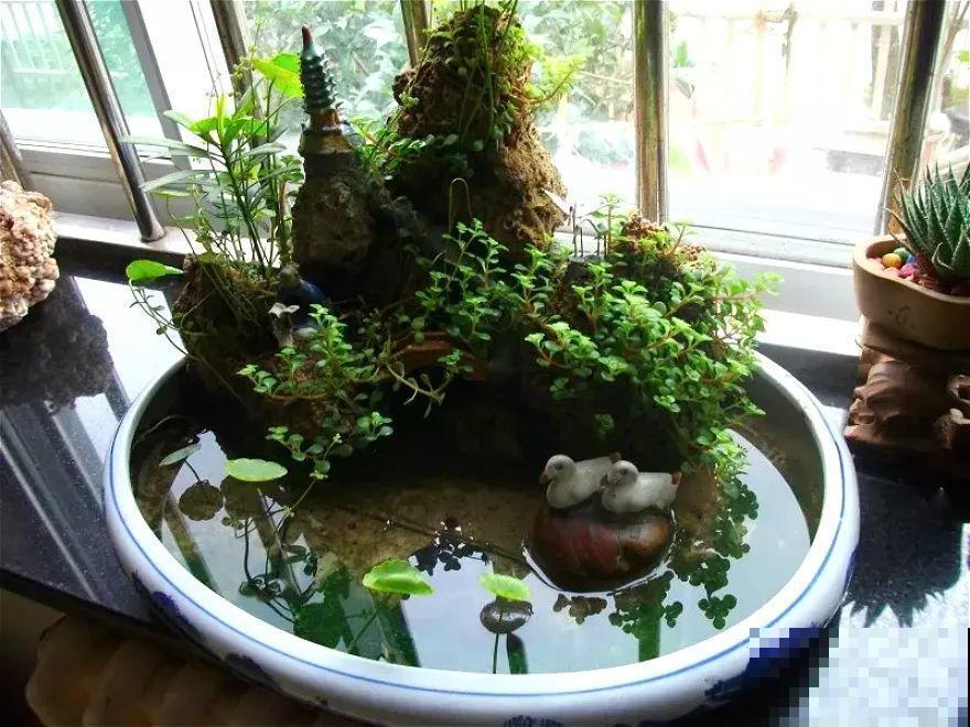 院子没有，那就用它来造水景，简单又大方！