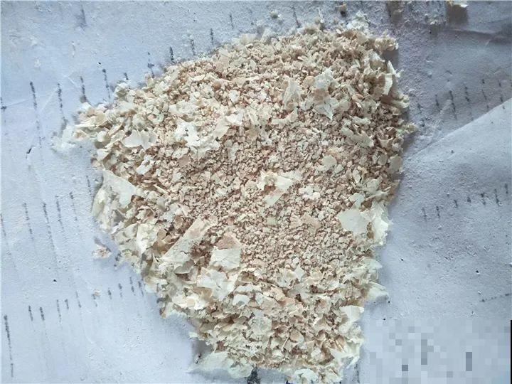 这肥劲儿真大，一小撮兑水里，10天花苞嘭嘭开！