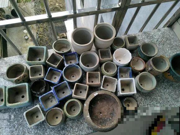 几十个高价花盆，被扔在垃圾桶旁，捡还是不捡？