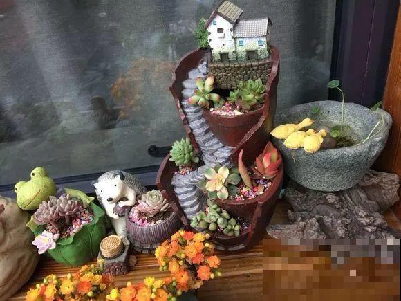 不大的露台，种满了喜欢的花草和蔬菜，生活过得有滋有味！