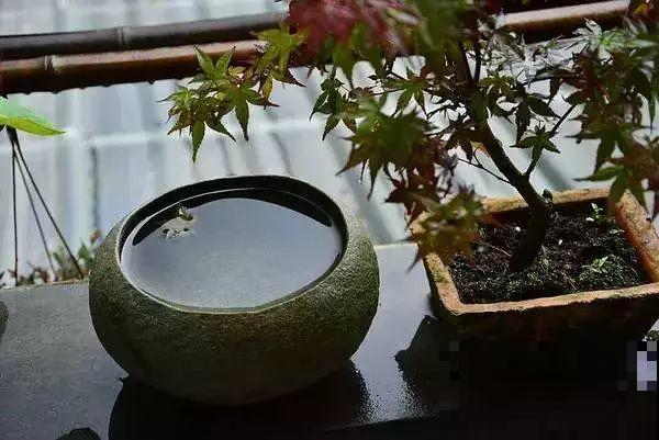 院子没有，那就用它来造水景，简单又大方！