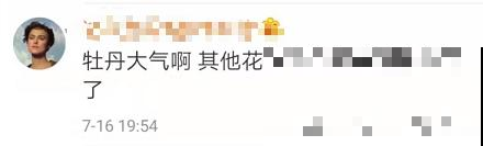 “我心中的国花”开启投票，花协立荐牡丹，这是你的答案吗！