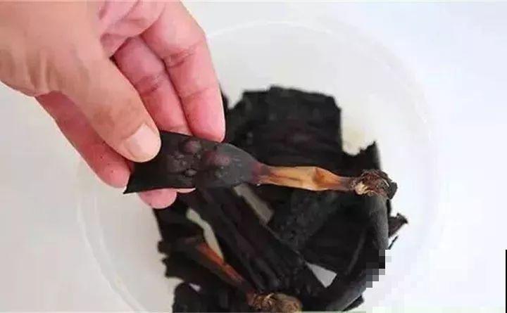 路边捡把“超能肥”，撒盆里，浇点水，花儿疯长不要命！
