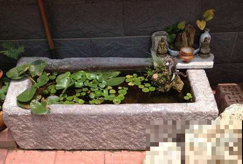 这些不值钱的老物件，废品站都嫌弃，她拿来养花却变身宝贝！