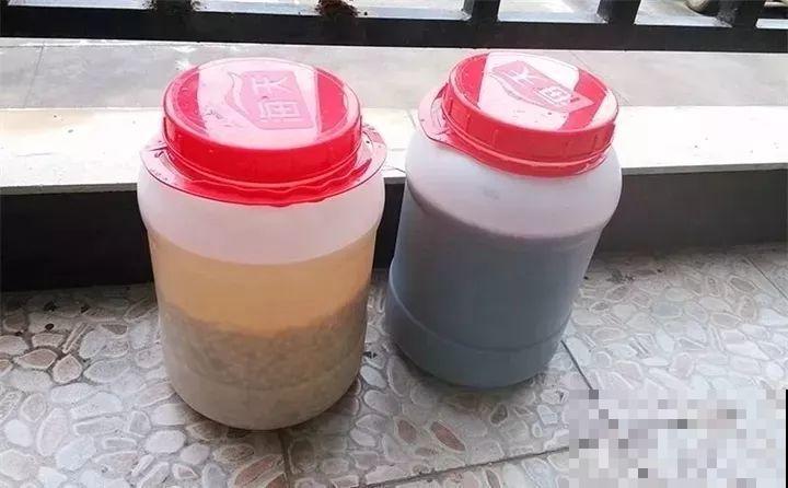 淘米水加点料，没有异味，肥效能翻10倍，养啥花都旺！