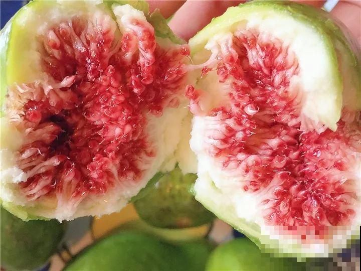 百香果、无花果，自己在家就能种，1根枝结3斤果！