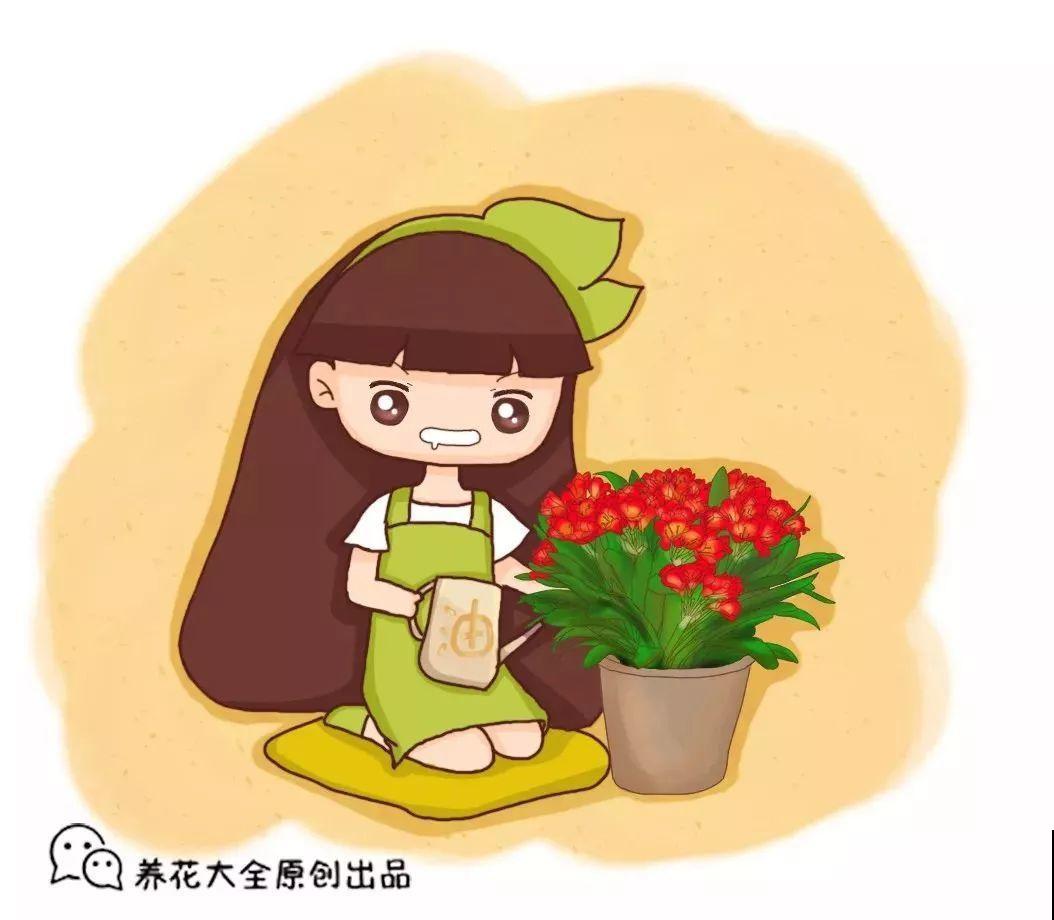 2滴废油倒盆里，花呼呼全开了，半年不用施肥！