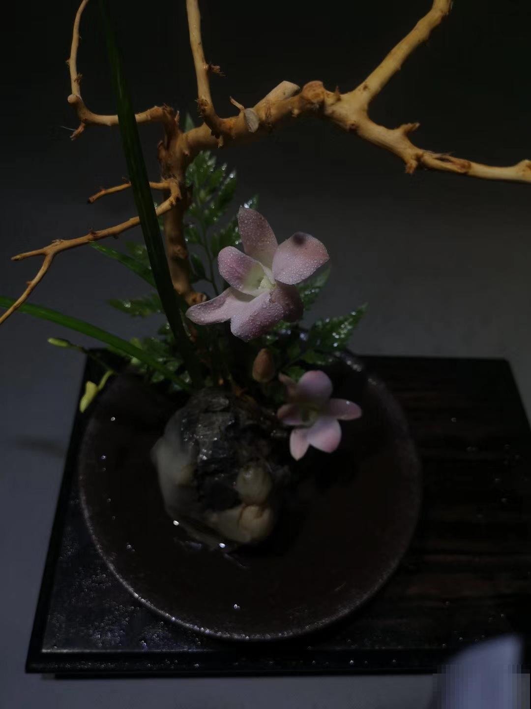 他用老树桩、枯树枝养花，个个都是艺术品，只要用心就会有惊喜！