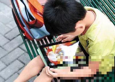 趁着孩子放假，家里的花就交给他们处理，省的天天手机不离手！