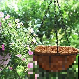 阳台挂遮阴网还花钱，不如挂盆它，半月呼呼垂成瀑布！