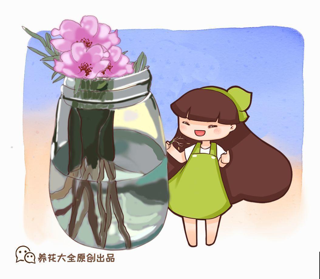 这花掐个枝丢水里，3天就生根，10天爆出一大盆！